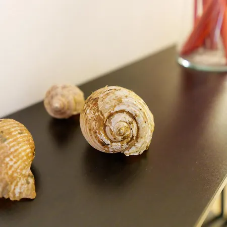 Bed & Breakfast La Giara Art Gallipoli