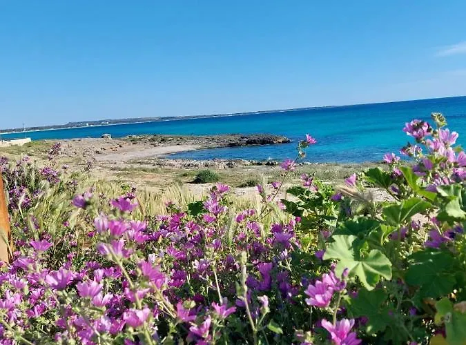 La Giara Art فندق مبيت وإفطار 3*