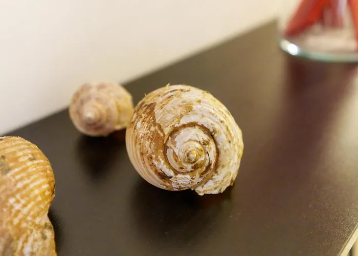 فندق مبيت وإفطار La Giara Art غالّيبولي